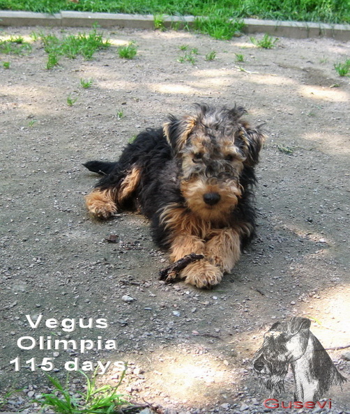 Olimpia2.jpg
