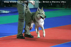 Brian main ring