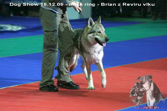 Brian main ring